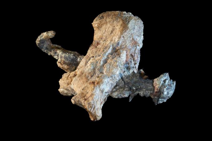 national geographic 3